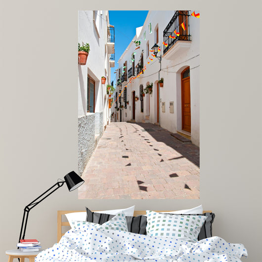 Spanish Street Wall Mural