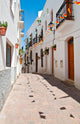 Spanish Street Wall Mural