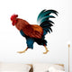 Rooster, the symbol of the Chinese New Year 2017 realistic color vector illustration  Wall Decal