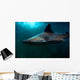 Requin Wall Mural