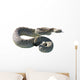 Rattle Snake Wall Decal
