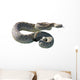 Rattle Snake Wall Decal