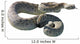 Rattle Snake Wall Decal
