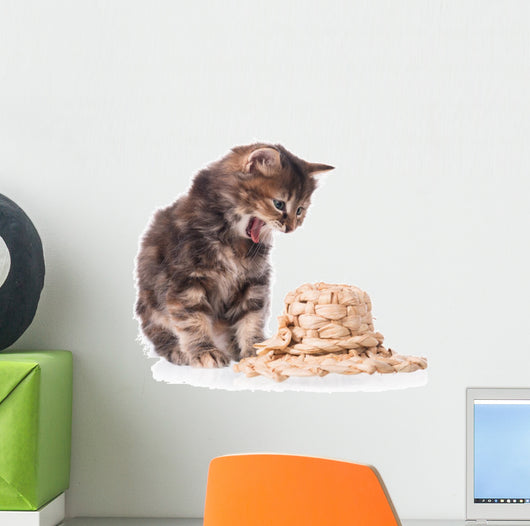 Cute siberian kitten Wall Decal