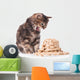 Cute siberian kitten Wall Decal