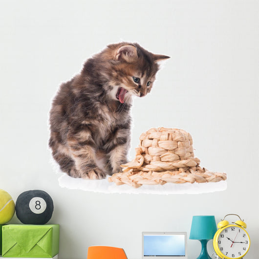 Cute siberian kitten Wall Decal