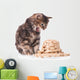Cute siberian kitten Wall Decal