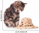 Cute siberian kitten Wall Decal