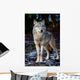 Wolf Wall Mural