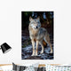 Wolf Wall Mural