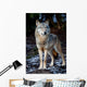 Wolf Wall Mural