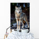 Wolf Wall Mural