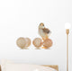 pretty cute chick with eggs Wall Decal
