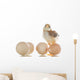 pretty cute chick with eggs Wall Decal