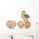 pretty cute chick with eggs Wall Decal