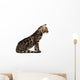 Kitten Abyssinian, isolated on white Wall Decal