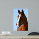 Horsehead Wall Mural