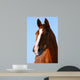 Horsehead Wall Mural
