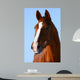 Horsehead Wall Mural