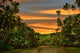 Rainforest River Sunset Wall Decal