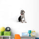 Portrait of a beautiful dog on a white background Wall Decal