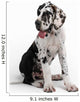 Portrait of a beautiful dog on a white background Wall Decal