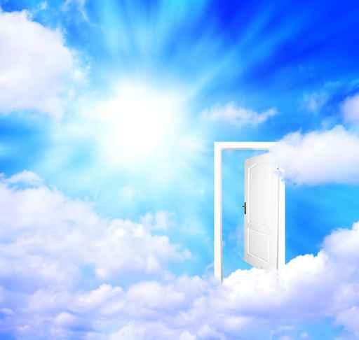 New World Wall Decal Design 2