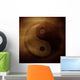 Yin Yang symbol Wall Mural