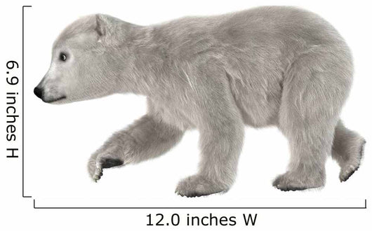 Polar Bear Cub Wall Decal