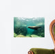 Sea Lions Wall Mural