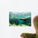 Sea Lions Wall Mural