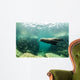Sea Lions Wall Mural