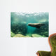 Sea Lions Wall Mural