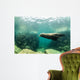 Sea Lions Wall Mural