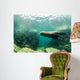 Sea Lions Wall Mural