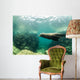 Sea Lions Wall Mural