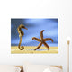 Sea Horse Wall Mural
