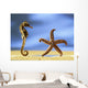 Sea Horse Wall Mural
