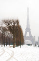 Snowy day in Paris - misty Eiffel Tower and lots of snow Wall Mural