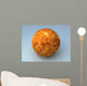 Venus Planet Wall Mural