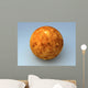 Venus Planet Wall Mural