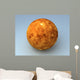 Venus Planet Wall Mural