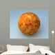 Venus Planet Wall Mural