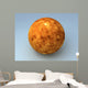 Venus Planet Wall Mural