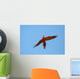 scarlet macaw closing Wall Mural