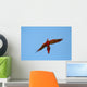 scarlet macaw closing Wall Mural