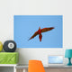scarlet macaw closing Wall Mural