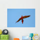 scarlet macaw closing Wall Mural