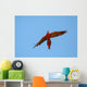 scarlet macaw closing Wall Mural