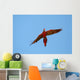 scarlet macaw closing Wall Mural